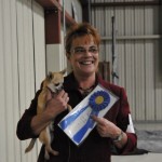 Tampa Bay Chihuahua Club 49th Specialty